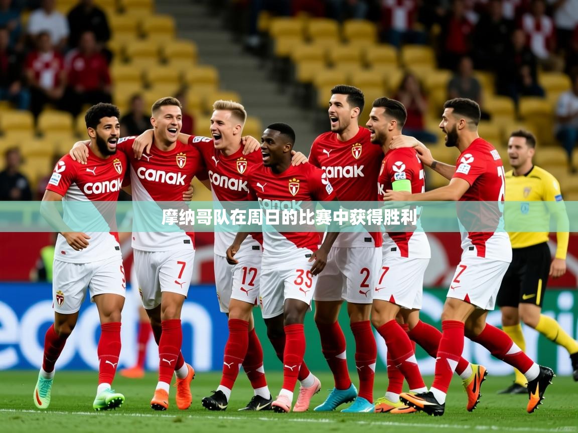 2025爱游戏app网页版入口摩纳哥队在周日的比赛中获得胜利  第4张